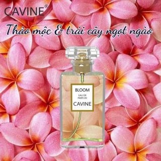 Nứơc Hoa CaVine