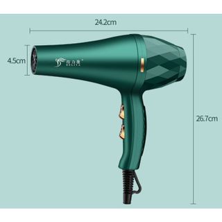 Máy Sấy Tóc Deliya Công Suất Lớn Tạo Kiểu 2 Chiều Nóng Lạnh Cho Salon Tóc Cao Cấp