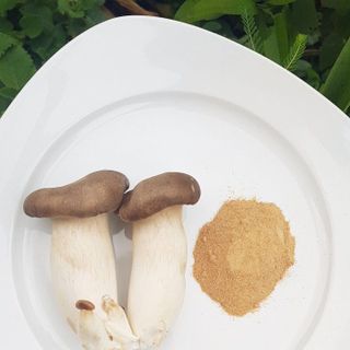 Bột nấm đùi gà sấy khô