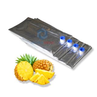 Túi vô trùng Aseptic BIB màng nhôm cao cấp dung tích đa dạng từ 1L-220L