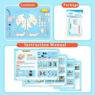 Đồ chơi lắp ghép thông minh bằng gỗ Mô hình Chú ốc gỗ DIY-142