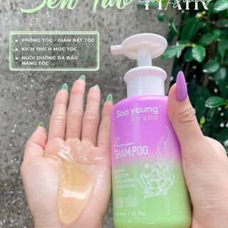 Combo dầu gội sen tảo