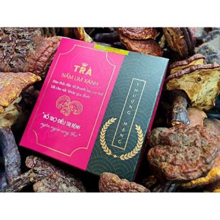 Trà Thải Độc  { FREE SHIP } Trà Hỗ Trợ Điều Trị Ung Thư Nấm Lim Xanh - Vua Nấm Lim Xanh