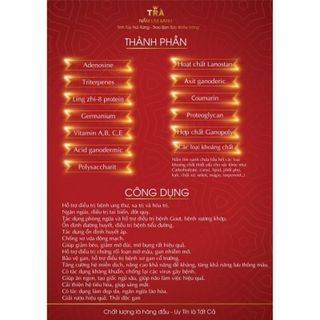 Trà Thải Độc  { FREE SHIP } Trà Hỗ Trợ Điều Trị Ung Thư Nấm Lim Xanh - Vua Nấm Lim Xanh