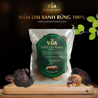 { FREE SHIP } Nấm Lim Xanh Rừng 100% Từ Tự Nhiên Loại 1KG