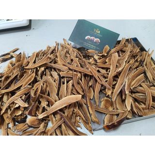 { FREE SHIP } Nấm Lim Xanh Rừng 100% Từ Tự Nhiên Loại 1KG