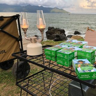 RONG NHO BIỂN (SEAGRAPES) Made In VIỆT NAM