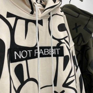 Áo hoodie in toàn thân rapbit