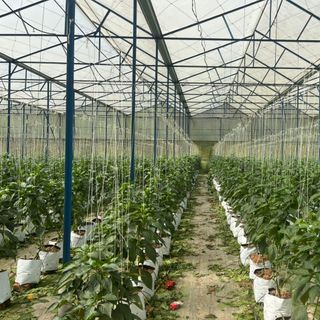 Tìm nhà phân phối vải bạt phủ cỏ Gia Lợi