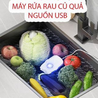 MÁY RỬA RAU CỦ QUẢ SIÊU SẠCH giá sỉ