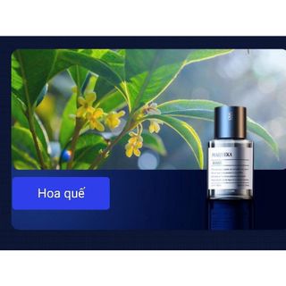 [Có sẵn] Máy Khuếch Tán Tinh Dầu Tự Động Tích Điện MAIJUEKA Ô TÔ Chứa 160ML Tinh Dầu Với 3 Chế Độ Phun Tắt Mở Cảm Ứng