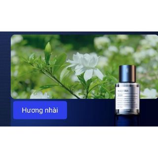 [Có sẵn] Máy Khuếch Tán Tinh Dầu Tự Động Tích Điện MAIJUEKA Ô TÔ Chứa 160ML Tinh Dầu Với 3 Chế Độ Phun Tắt Mở Cảm Ứng