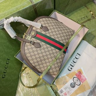 Túi xách quảng châu Ophidia Hến 33 SP Fullbox - 09B3783 (Chuyên sỉ túi xách sll, balo, ví, thắt lưng, túi Laptop)
