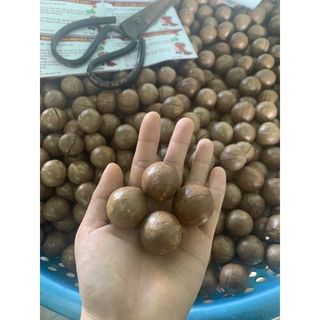 MẮC CA NGUYÊN VỎ  500g giá sỉ - giá bán buôn