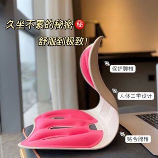 Ghế chống gù size to 36