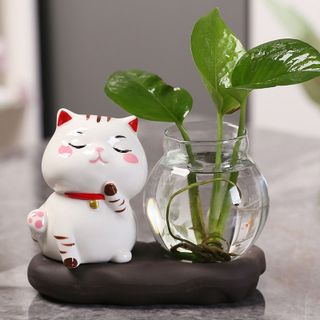 Bình thủy sinh trồng cây kèm tượng Mèo sứ 4 biểu cảm dễ thương trang trí bàn làm việc, bàn học,tủ kệ