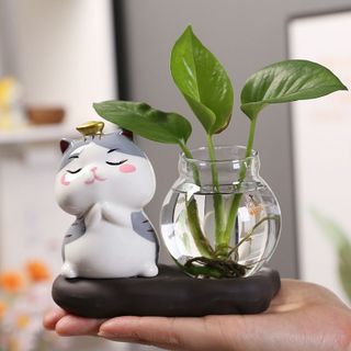 Bình thủy sinh trồng cây kèm tượng Mèo sứ 4 biểu cảm dễ thương trang trí bàn làm việc, bàn học,tủ kệ