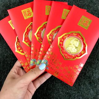 Bao Lì Xì Đồng Xu Con Rồng CUTE Mạ Vàng