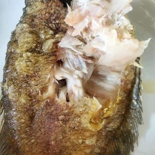 CÁ SẶC RẰN ( LÒ THO)