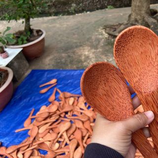 Giá cơm gỗ dừa