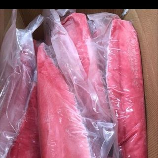 Loin cá ngừ đại dương chuẩn sashimi hàng tiêu chuẩn xuất khẩu giá sỉ