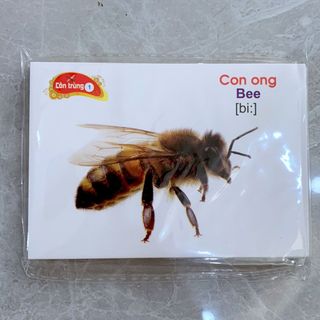 Bộ Thẻ Học Thông Minh 16 Chủ Đề Tiếng Anh Tiếng Việt Cho Bé