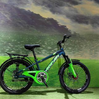 Sỉ xe đạp thể thao 203:size 20,22
