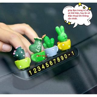 Bảng số điện thoại đặt taplo ô tô gắn chậu xương rồng xinh xắn - Mộc Lan Phụ Kiện Xế Yêu