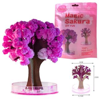 CÂY SAKURA MAGIC NỞ HOA