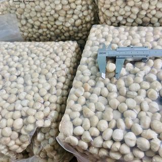 MACCA NHÂN NGUYÊN LOẠI 2