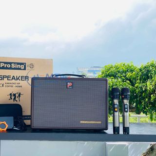 Loa Di Động Xách Tay Cao Cấp Prosing W8Kor Tích Hợp Vang Số, Chống Hú, Lọc Âm Bass 20cm Công Suất 150W - 350W Kèm 2 Micro - Tặng Bộ Pin Sạc B02