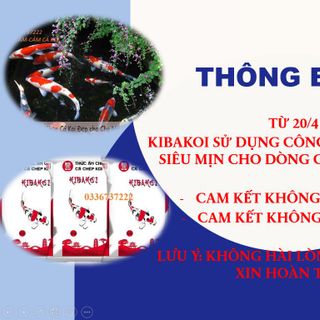 Cám cá koi giá rẻ