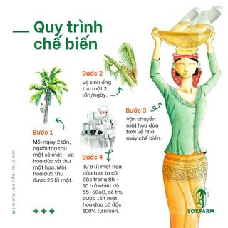 Sokfarm Nước Uống Mật Hoa Dừa Đặc Sản Trà Vinh Bổ sung năng lượng, bù điện giải