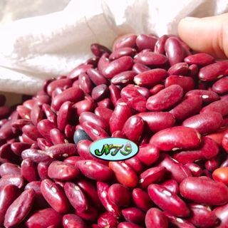 Đậu Đỏ tây Kidney dùng làm ngũ cốc dinh dưỡng, ăn chay, thực dưỡng, làm Tempeh