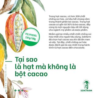 Sokfarm Hạt Cacao & Mật Hoa Dừa Đặc Sản Trà Vinh