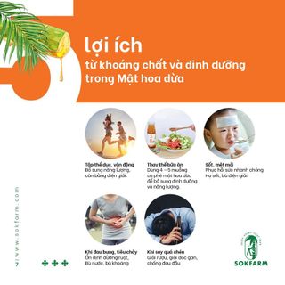 Sokfarm Mật Hoa Dừa Đặc Sản Trà Vinh