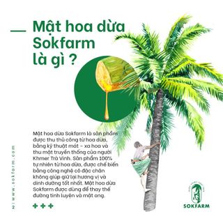 Sokfarm Mật Hoa Dừa Đặc Sản Trà Vinh