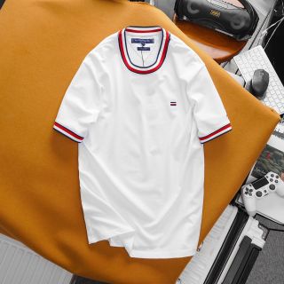 Áo thun nam chất cotton, áo phông nam cao cấp, chất cá sấu 100% chính phẩm co giản 4 chiều xịn sò dày dặn mịn mát, mặc thấm hút mồ hôi cực tốt, 2 logo thêu - size từ 50kg - 90kg