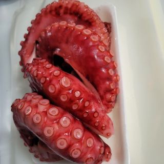râu bạch tuộc sashimi cung cấp giá sỉ hàng chất lượng cao