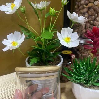 LỌ THỦY TINH NẮP GỖ TRE