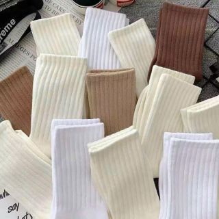Set 5 đôi vớ đủ màu cao cổ chuẩn hình hàng về số lượng lớn,sỉ Thanh Thảo