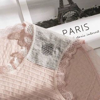 Quần lót nữ cotton kháng khuẩn nhăn siêu mát co dãn 4 chiều thoáng khí 556 về hàng sỉ, sll sẵn kho Thanh Thảo