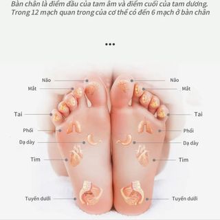 Máy massage chân RUITON hiện đại, giảm căng thẳng mệt mỏi sau một ngày dài