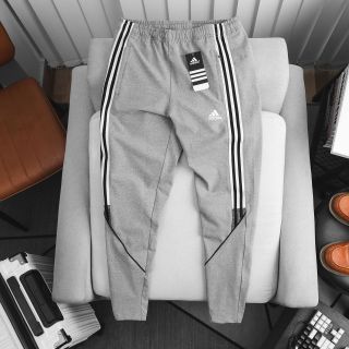 Jogger das vải thun poly 2 da dày dặn