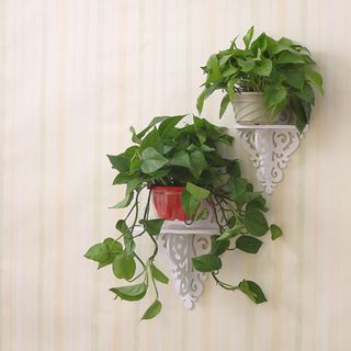 Kệ Treo Tường Hoa Văn Hình Thoi
