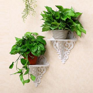 Kệ Treo Tường Hoa Văn Hình Thoi