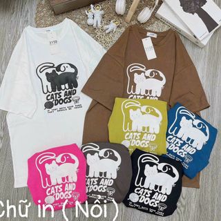 Áo thun fom rộng tay lỡ 3158 cực xinh mẫu ngẫu nhiên cao cấp sll kho sỉ Thanh Thảo