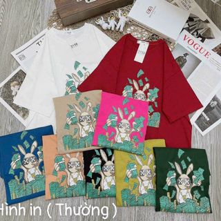 Áo thun fom rộng tay lỡ 3158 cực xinh mẫu ngẫu nhiên cao cấp sll kho sỉ Thanh Thảo