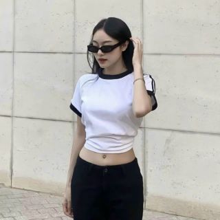 Áo thun nữ baby tee kiểu đẹp mặc đi chơi đơn giản cotton hàn quốc cao cấp sll kho sỉ Thanh Thảo