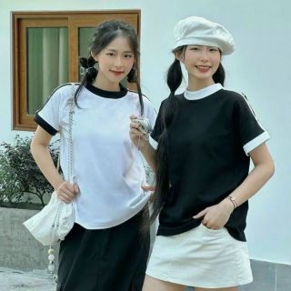 Áo thun nữ baby tee kiểu đẹp mặc đi chơi đơn giản cotton hàn quốc cao cấp sll kho sỉ Thanh Thảo